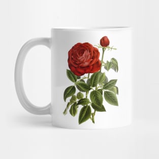 Red Rose Flower Vintage Botanical Illustration Mug
